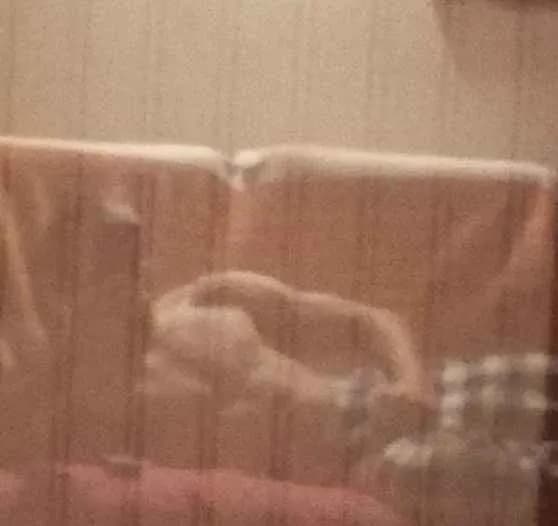 Profil de Thibault, 25 ans, Plan cul à Rossa (Grisons)