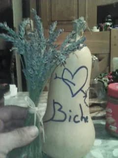 Profil de Nino, 33 ans, Plan cul à Perles (Berne)