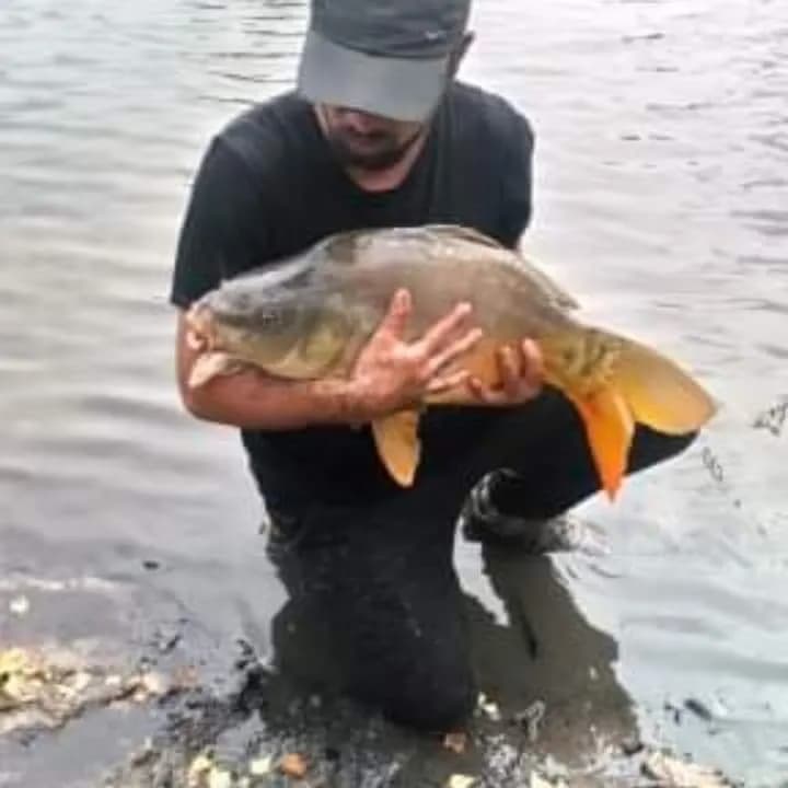 Profil de Mouhammad, 23 ans, Plan cul à Cudrefin (Vaud)