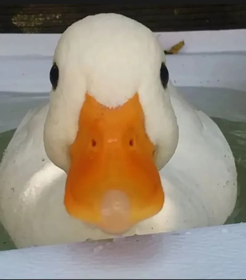 Profil de Ambroise, 22 ans, Plan cul à Mont-Soleil (Berne)