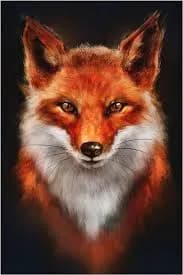 Profil de Maden, 30 ans, Plan cul à Lignières (Berne)