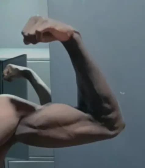 Diogo - Plan cul à Carena Profil de Diogo, 33 ans, Plan cul à Carena (Tessin)